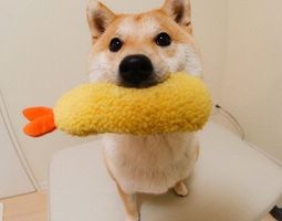 2222