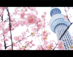日本城市宣传片