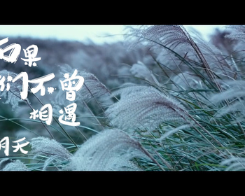 如果我们不曾相遇