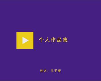 王子康个人作品集